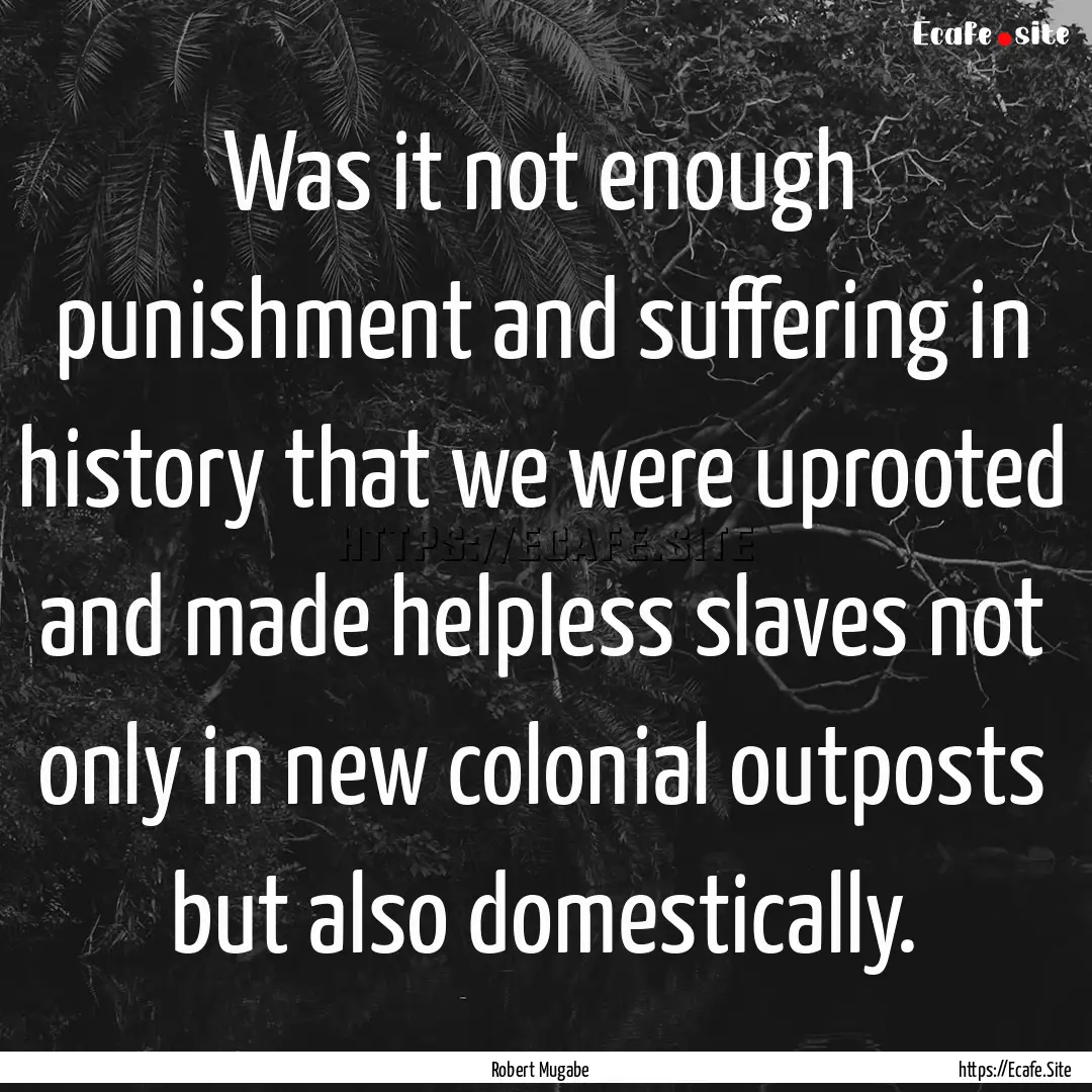 Was it not enough punishment and suffering.... : Quote by Robert Mugabe