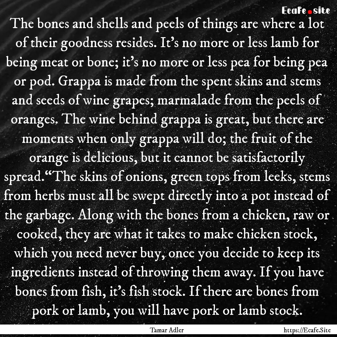 The bones and shells and peels of things.... : Quote by Tamar Adler