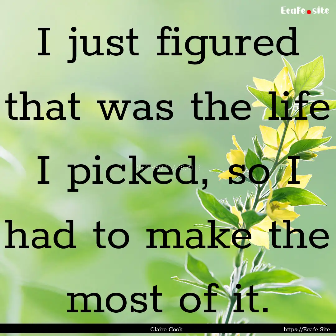 I just figured that was the life I picked,.... : Quote by Claire Cook