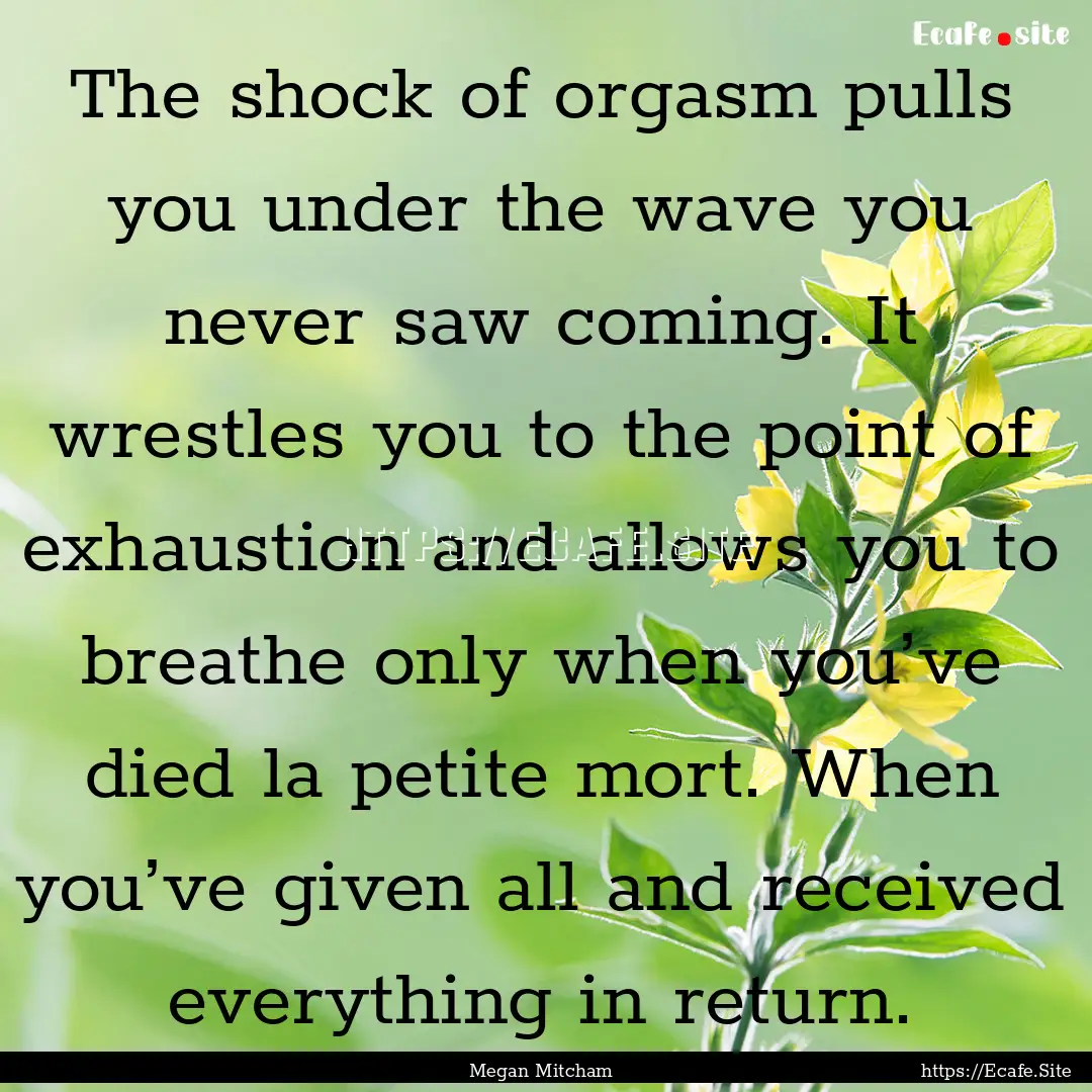 The shock of orgasm pulls you under the wave.... : Quote by Megan Mitcham