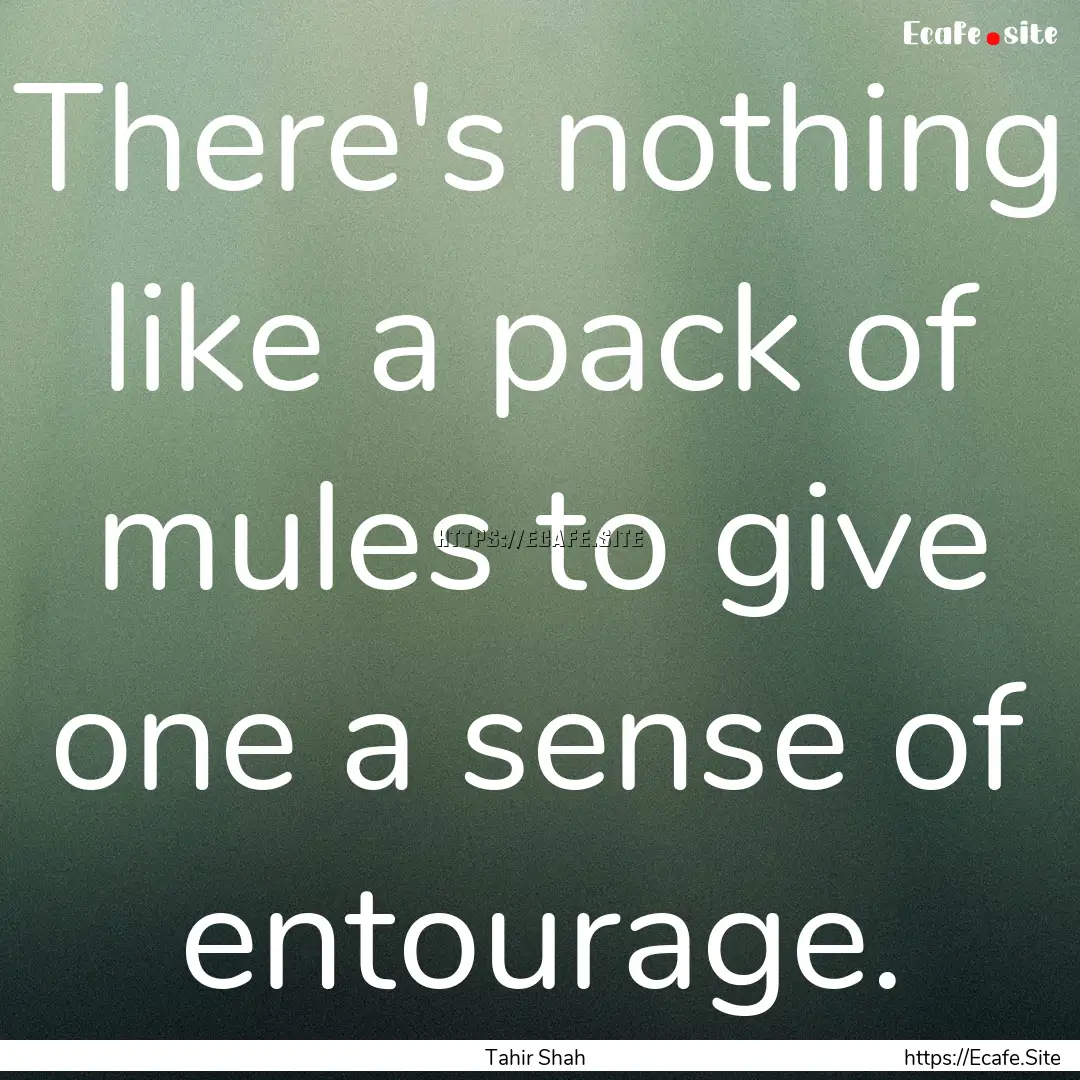 There's nothing like a pack of mules to give.... : Quote by Tahir Shah