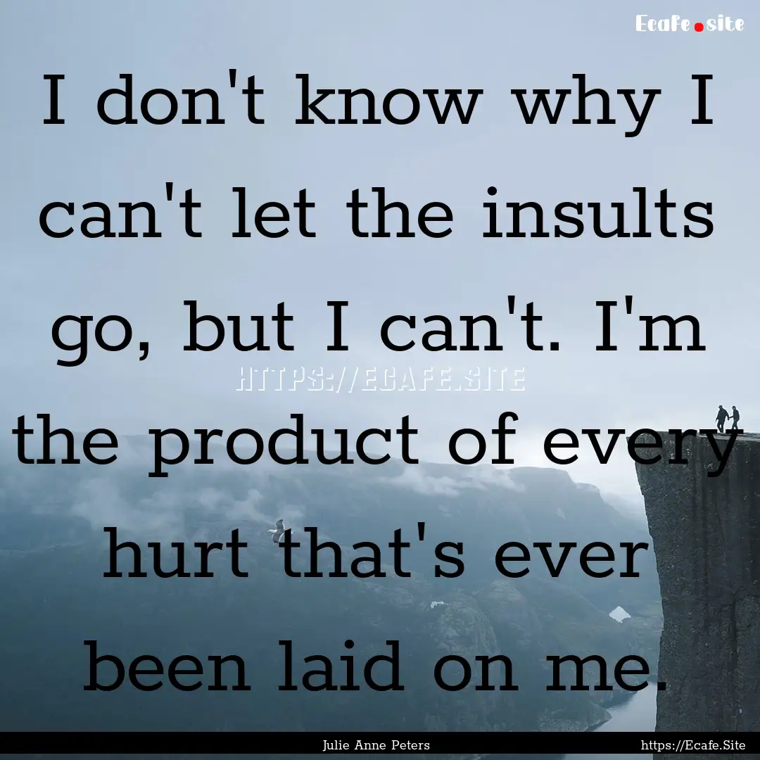 I don't know why I can't let the insults.... : Quote by Julie Anne Peters