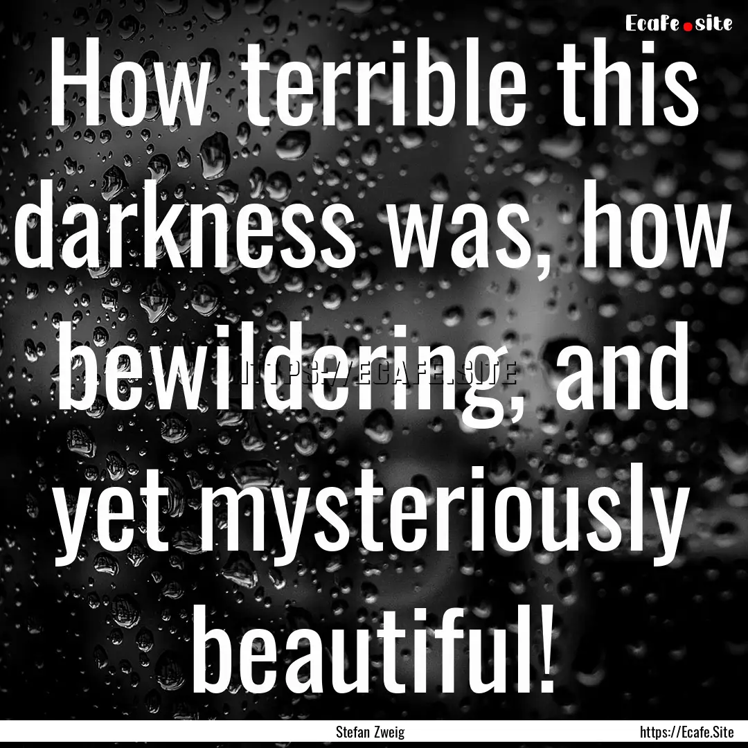 How terrible this darkness was, how bewildering,.... : Quote by Stefan Zweig