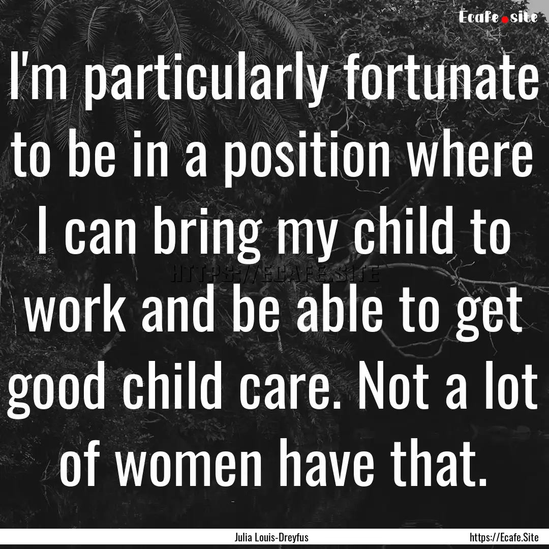 I'm particularly fortunate to be in a position.... : Quote by Julia Louis-Dreyfus