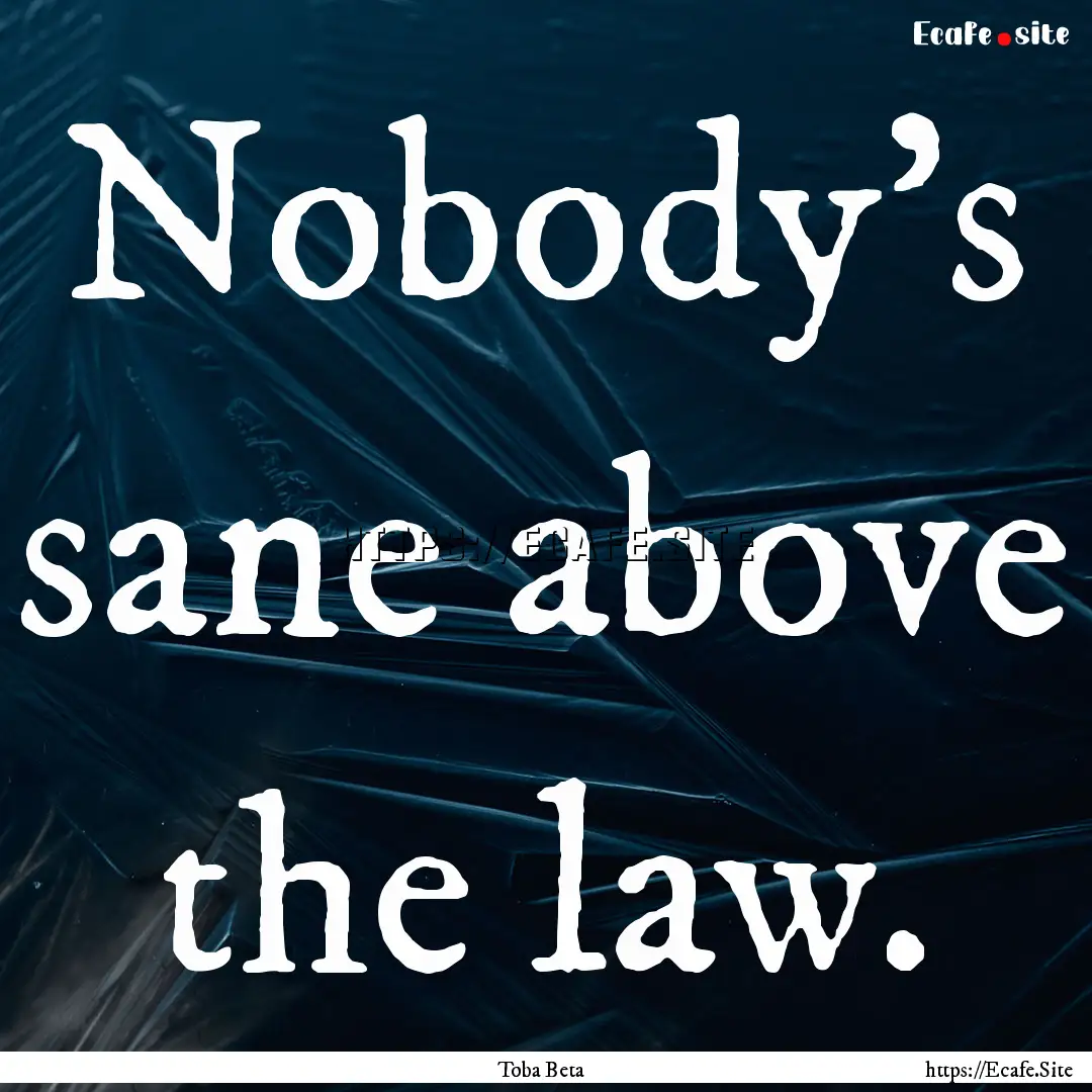 Nobody's sane above the law. : Quote by Toba Beta