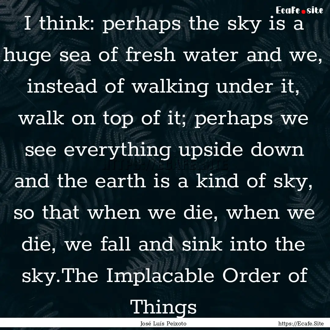 I think: perhaps the sky is a huge sea of.... : Quote by José Luís Peixoto