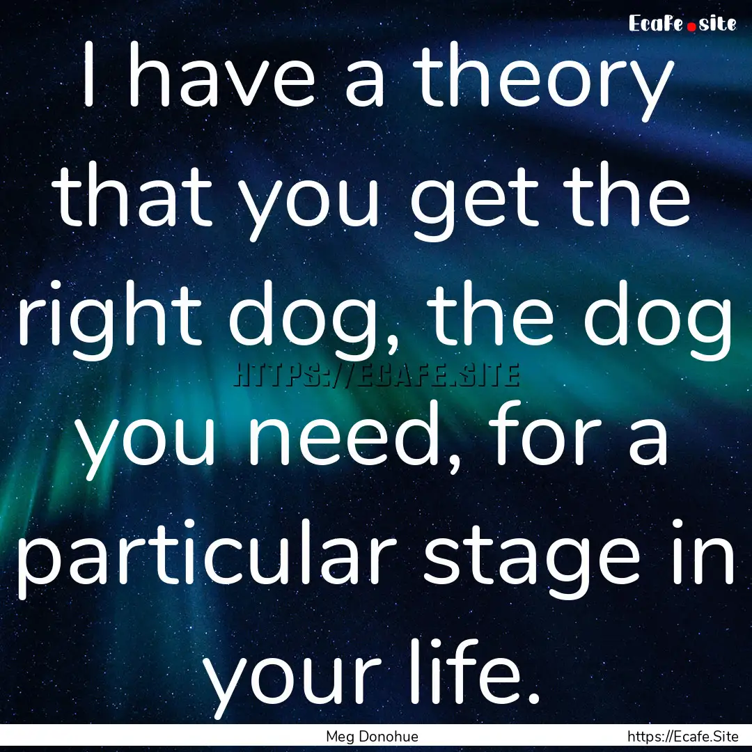 I have a theory that you get the right dog,.... : Quote by Meg Donohue