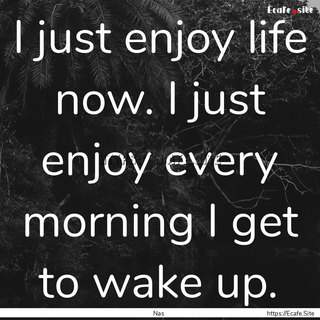 I just enjoy life now. I just enjoy every.... : Quote by Nas