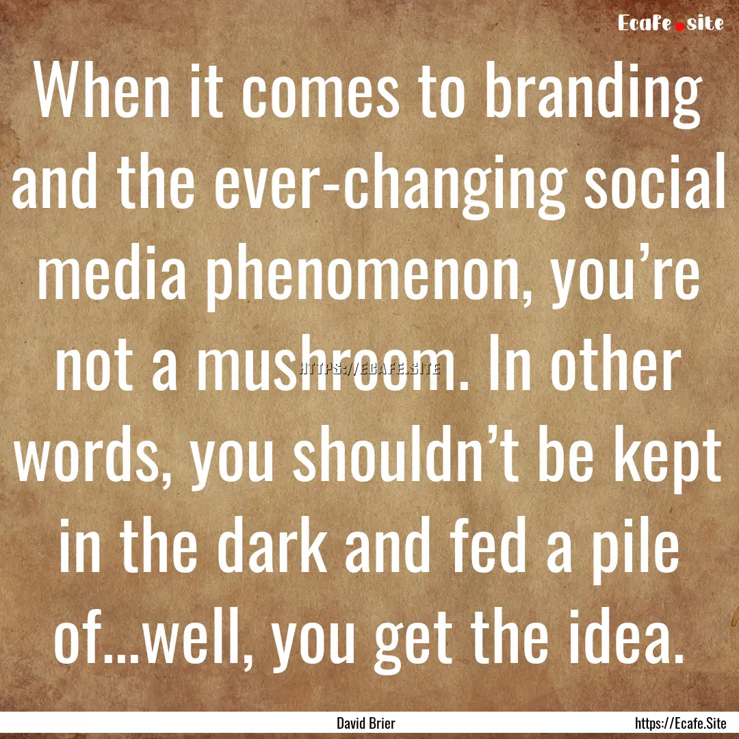 When it comes to branding and the ever-changing.... : Quote by David Brier