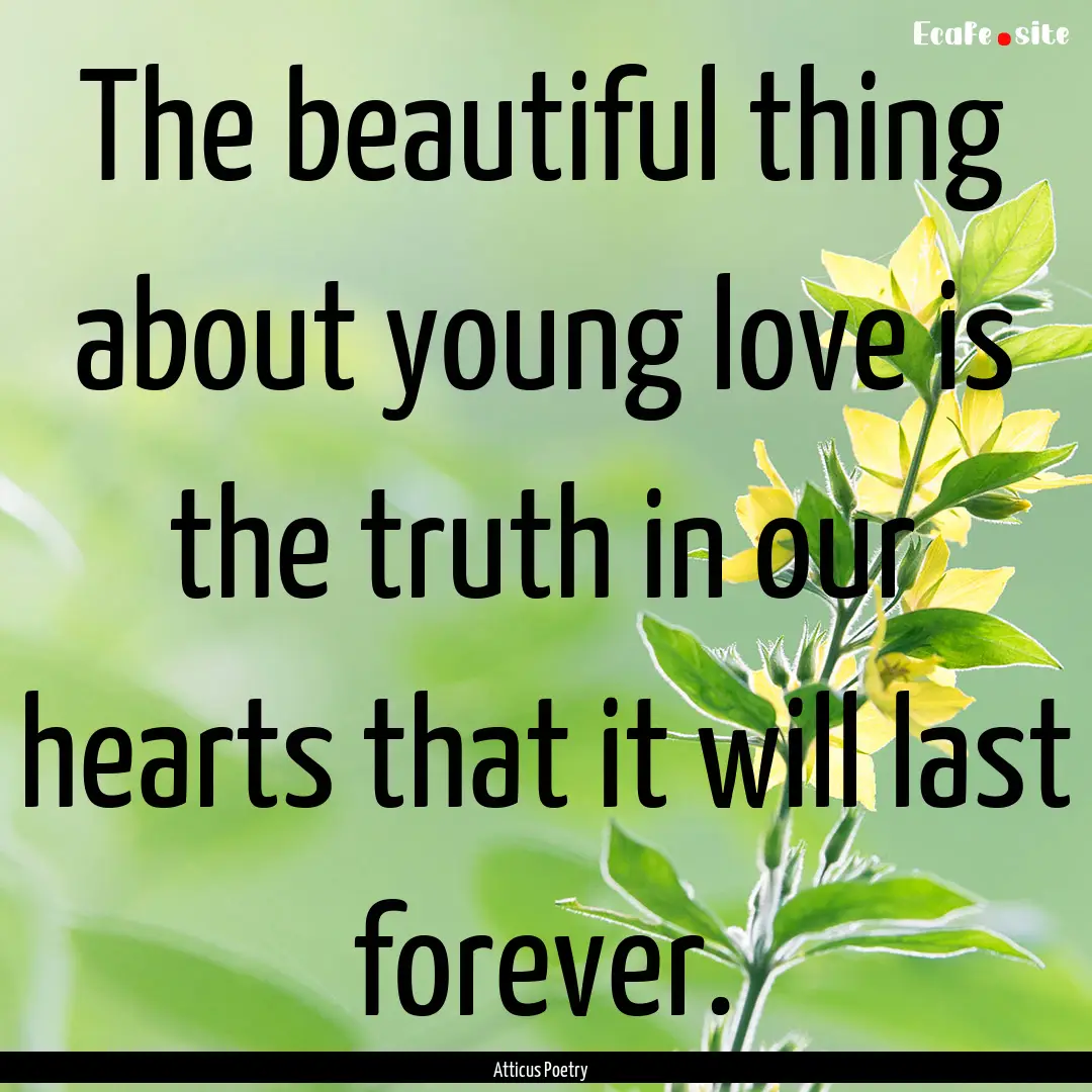 The beautiful thing about young love is the.... : Quote by Atticus Poetry