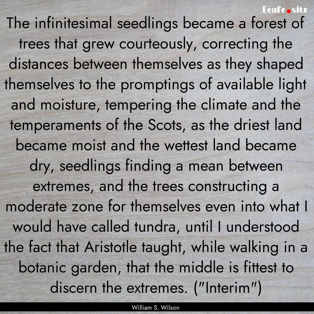 The infinitesimal seedlings became a forest.... : Quote by William S. Wilson