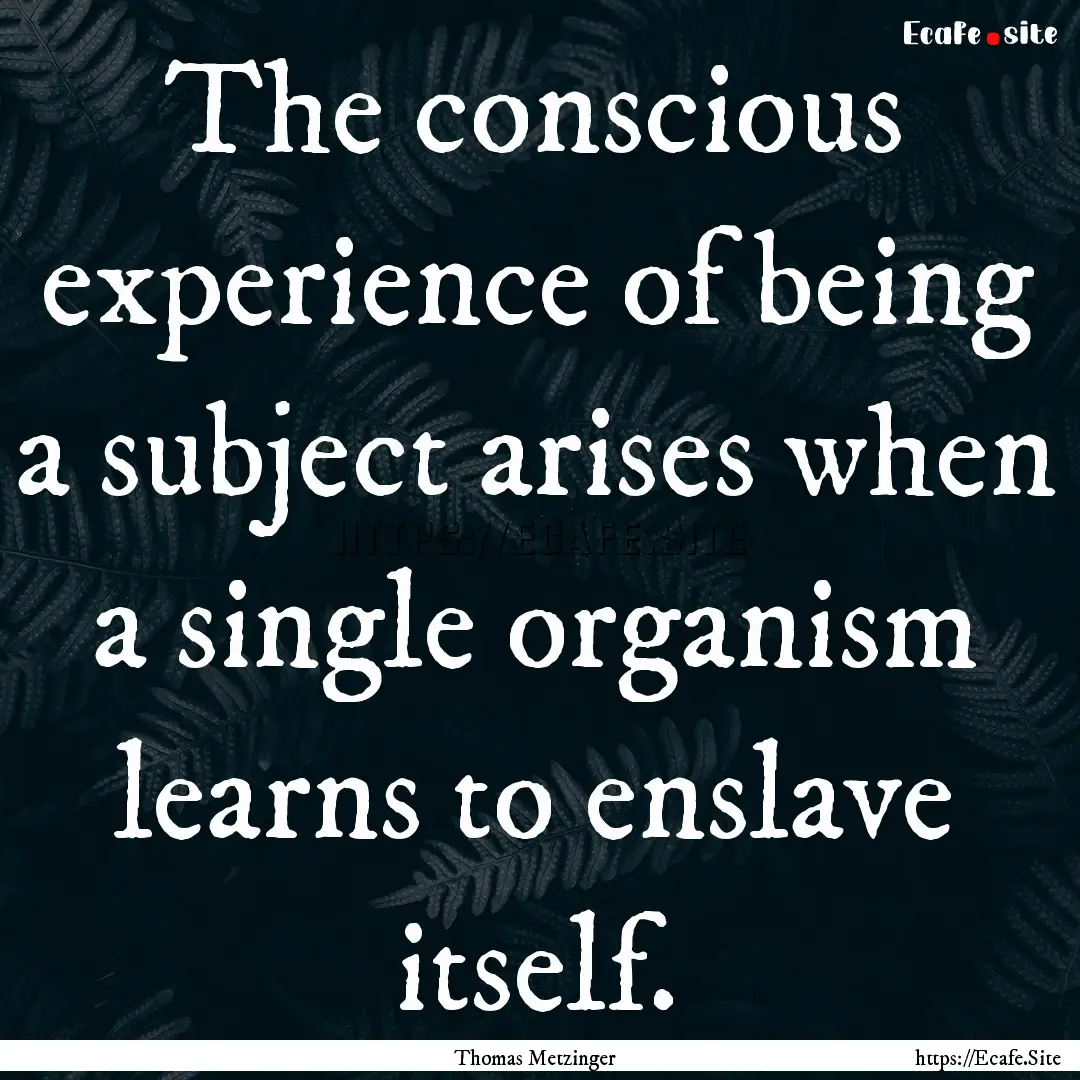 The conscious experience of being a subject.... : Quote by Thomas Metzinger