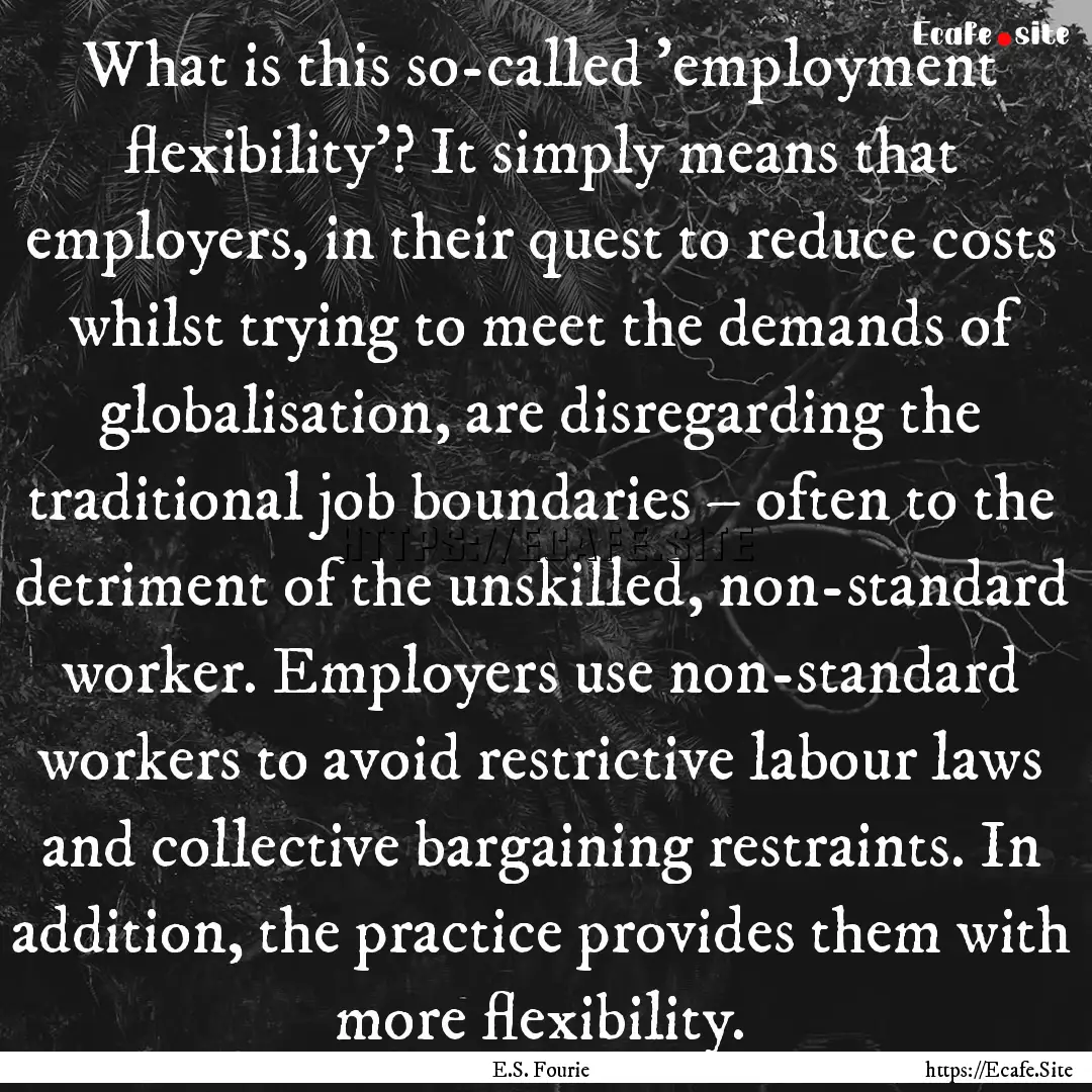 What is this so-called 'employment flexibility'?.... : Quote by E.S. Fourie