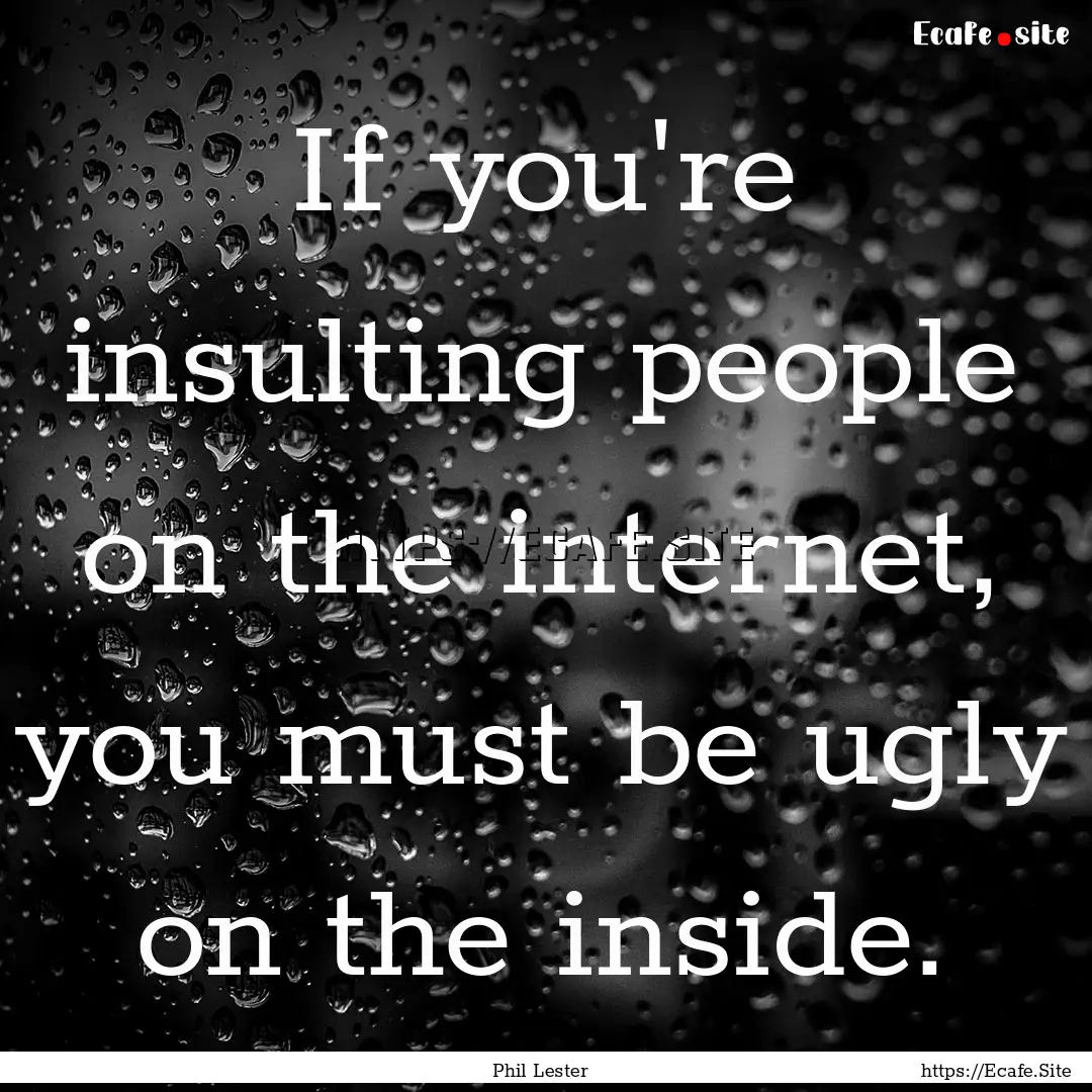 If you're insulting people on the internet,.... : Quote by Phil Lester