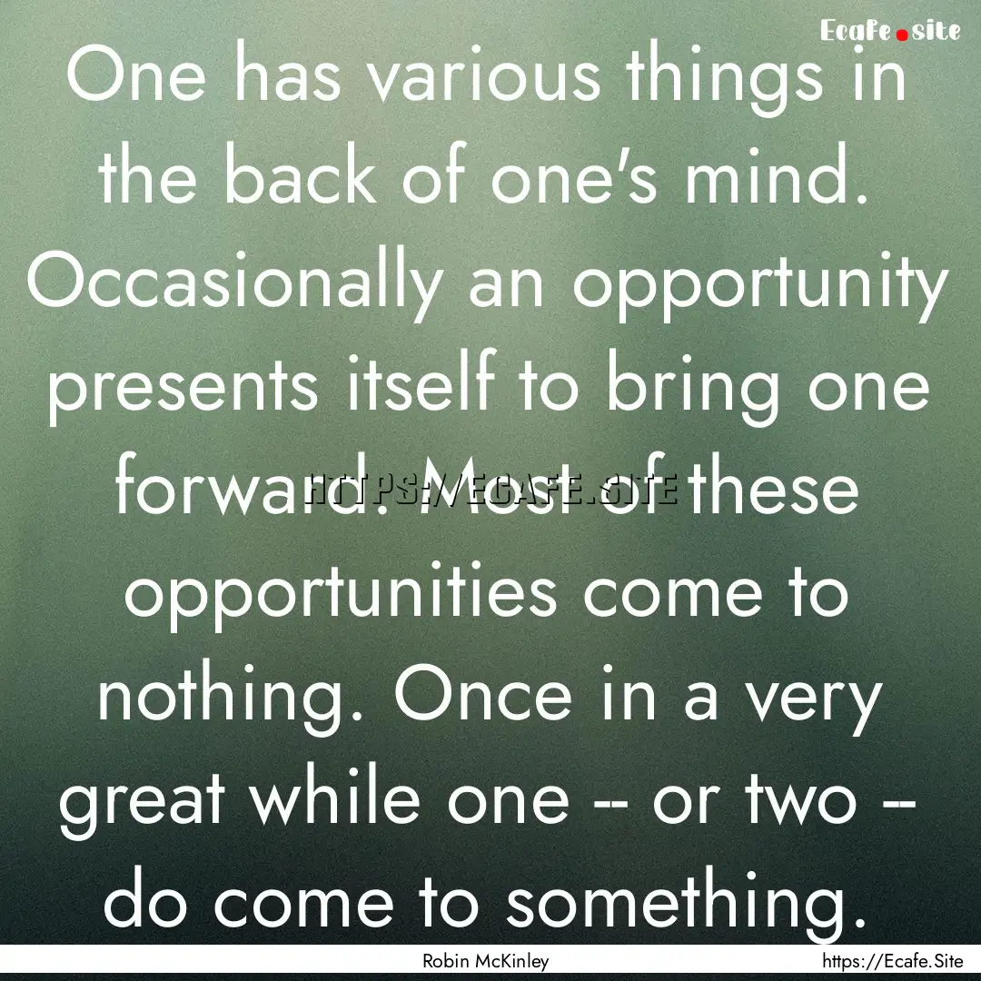 One has various things in the back of one's.... : Quote by Robin McKinley