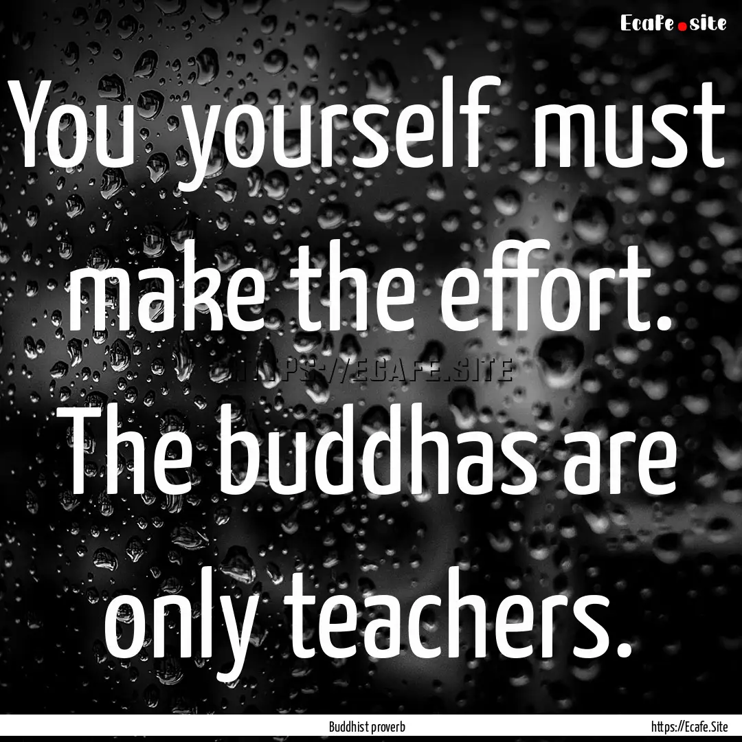 You yourself must make the effort. The.... : Quote by Buddhist proverb