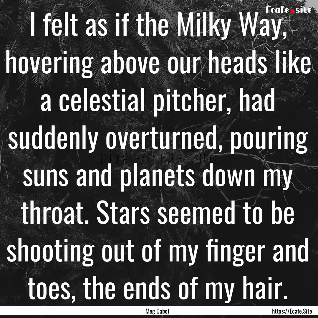 I felt as if the Milky Way, hovering above.... : Quote by Meg Cabot