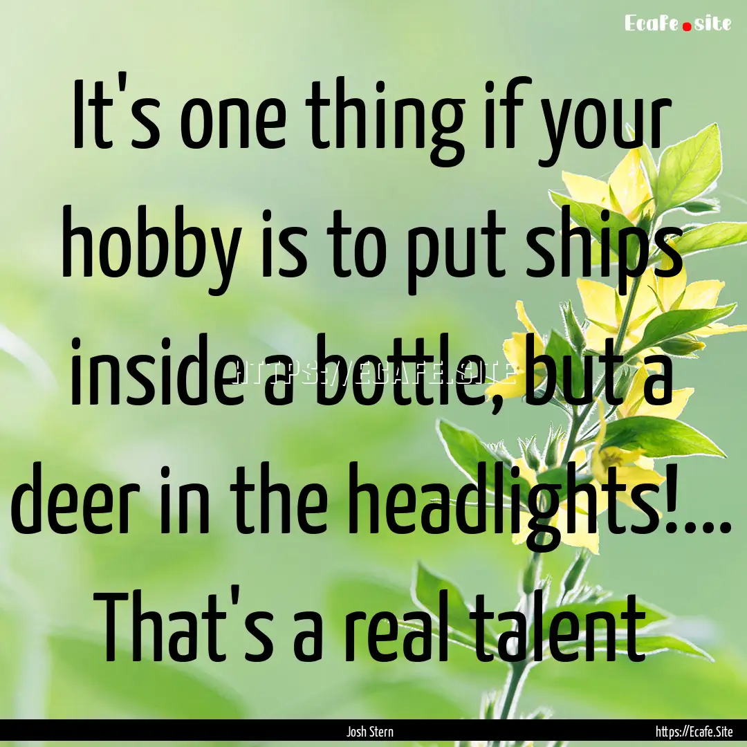 It's one thing if your hobby is to put ships.... : Quote by Josh Stern