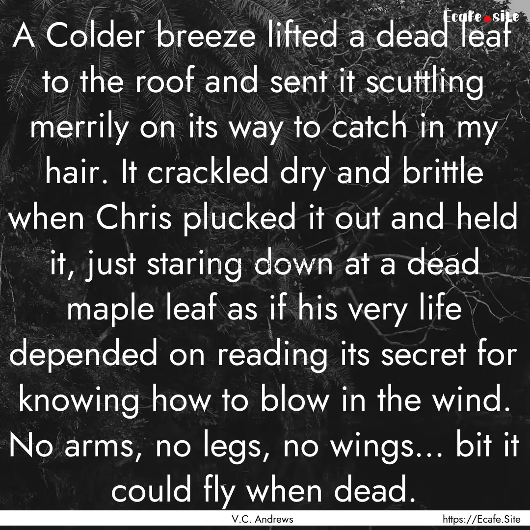 A Colder breeze lifted a dead leaf to the.... : Quote by V.C. Andrews