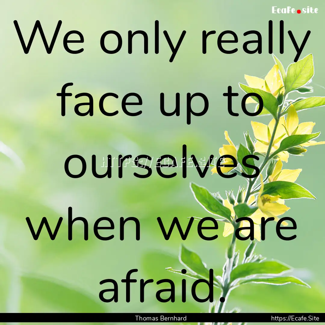 We only really face up to ourselves when.... : Quote by Thomas Bernhard