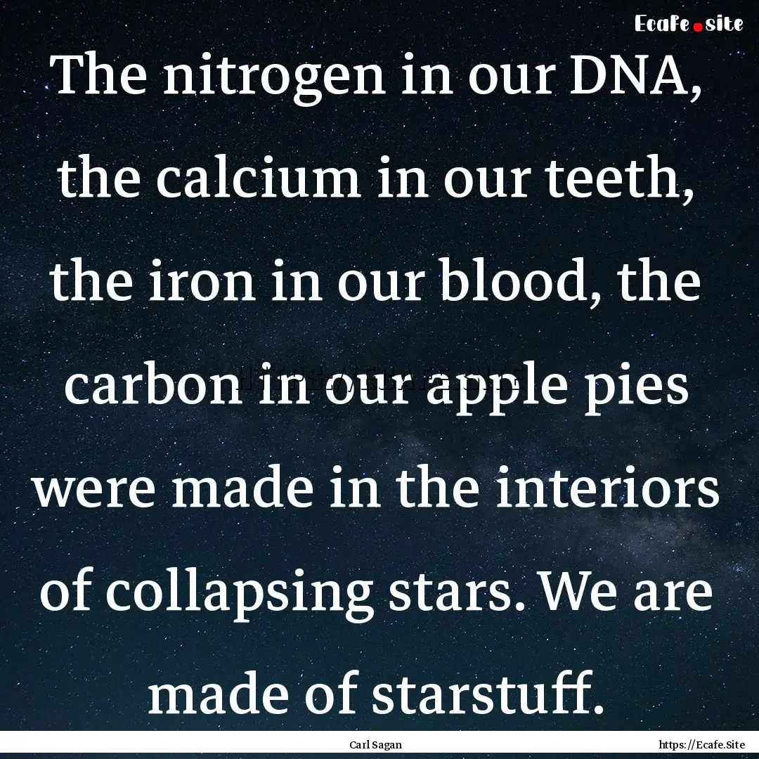 The nitrogen in our DNA, the calcium in our.... : Quote by Carl Sagan