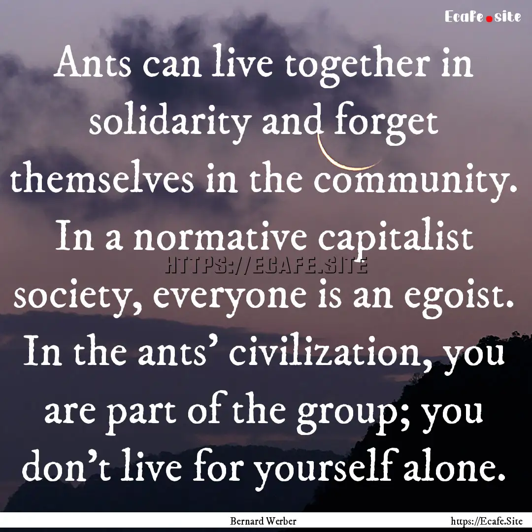 Ants can live together in solidarity and.... : Quote by Bernard Werber