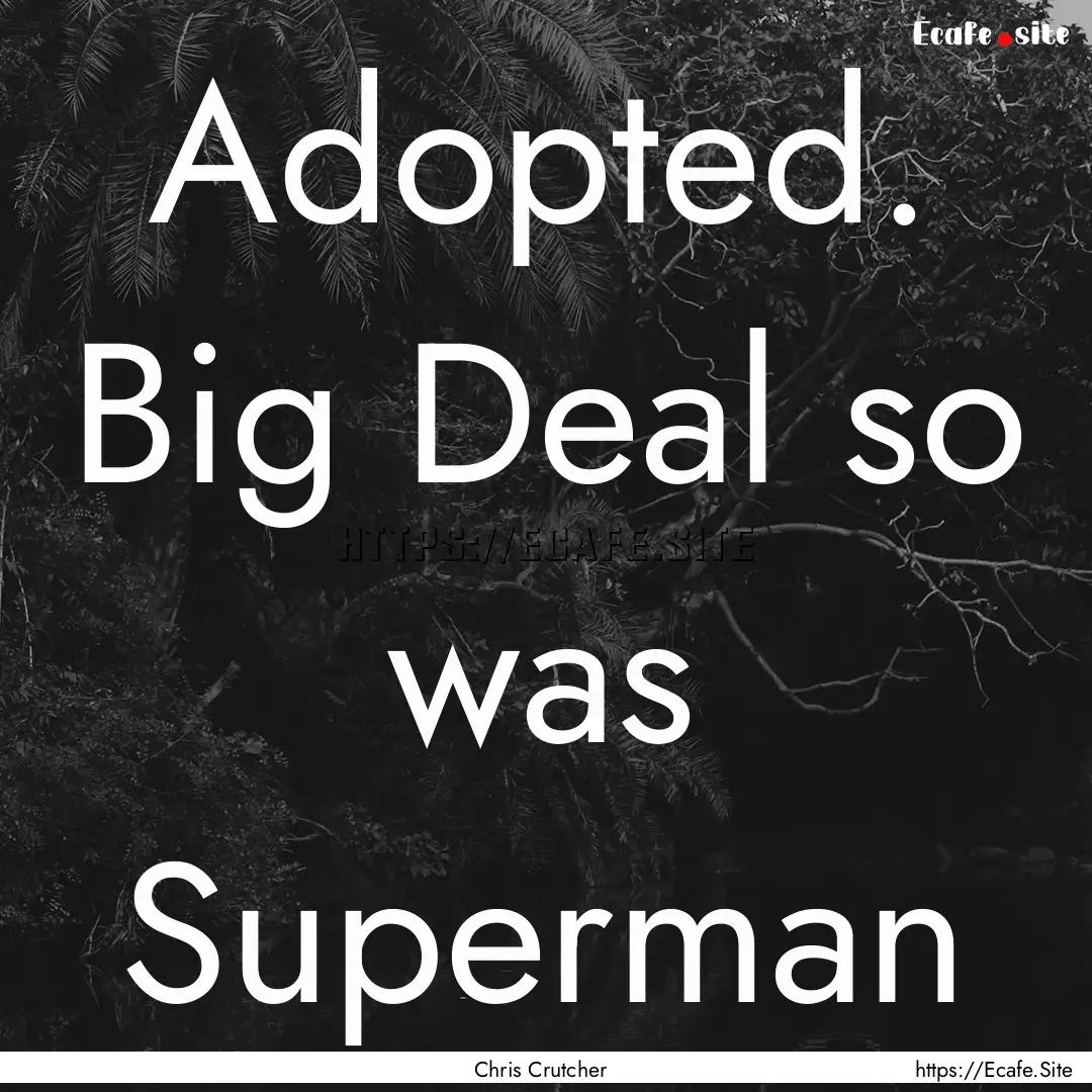 Adopted. Big Deal so was Superman : Quote by Chris Crutcher