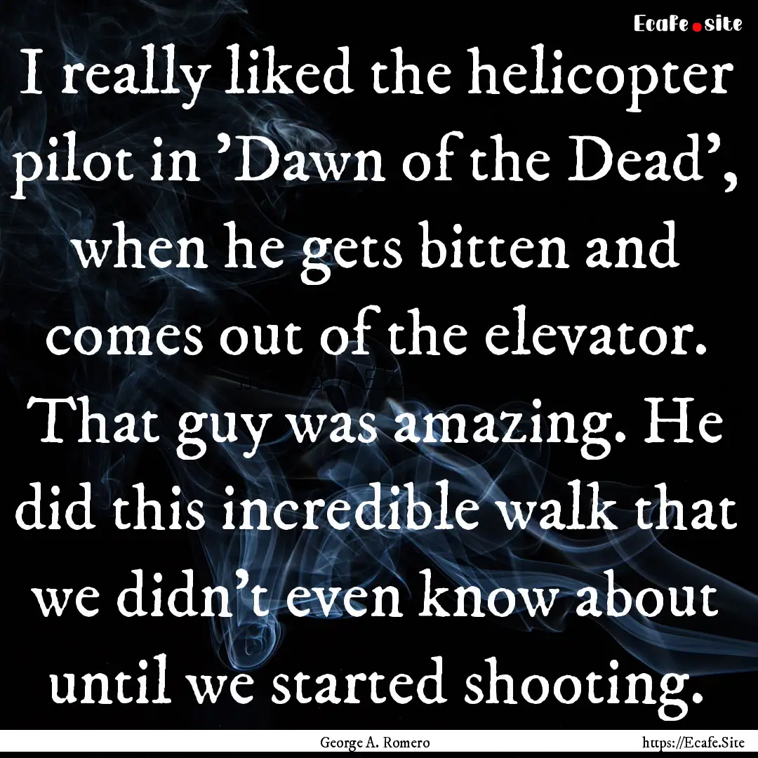 I really liked the helicopter pilot in 'Dawn.... : Quote by George A. Romero