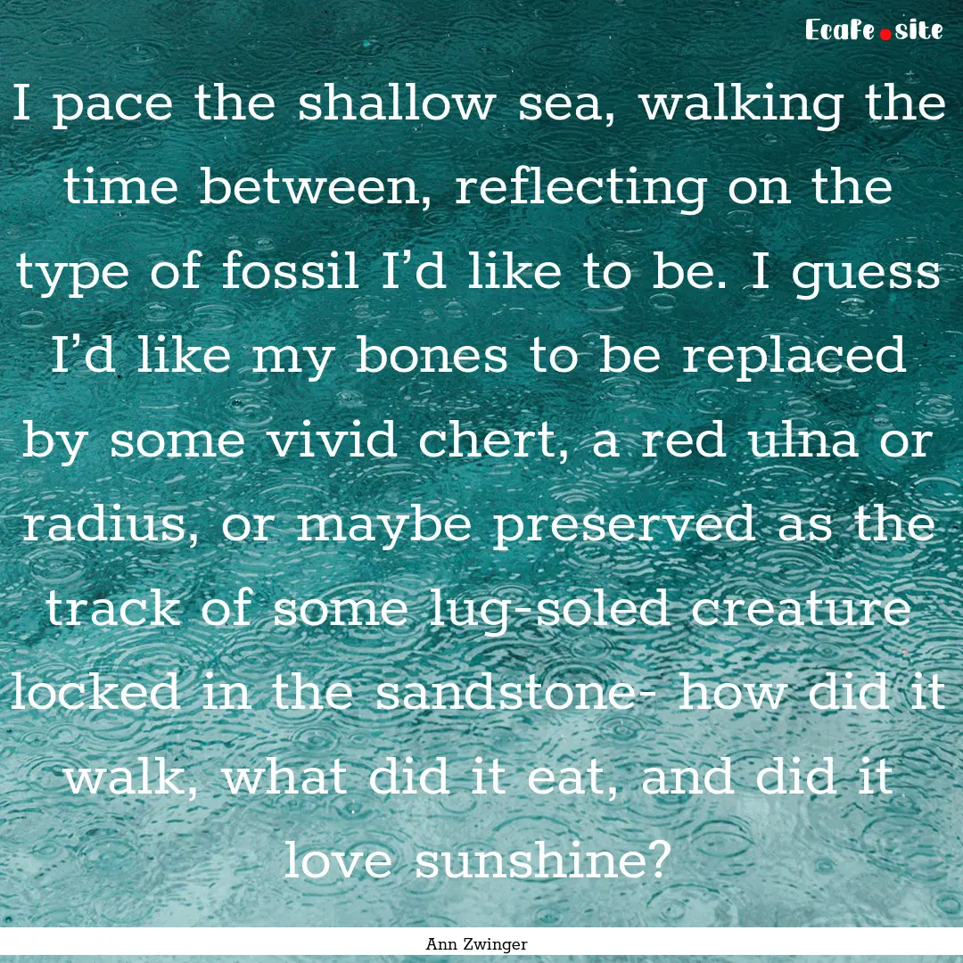 I pace the shallow sea, walking the time.... : Quote by Ann Zwinger