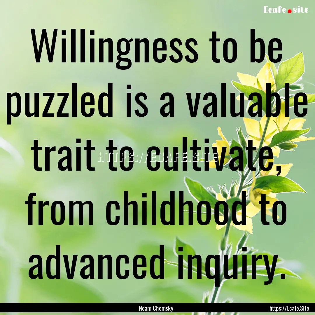 Willingness to be puzzled is a valuable trait.... : Quote by Noam Chomsky