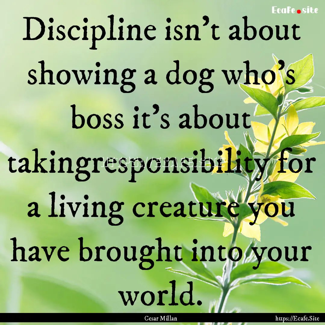 Discipline isn't about showing a dog who's.... : Quote by Cesar Millan