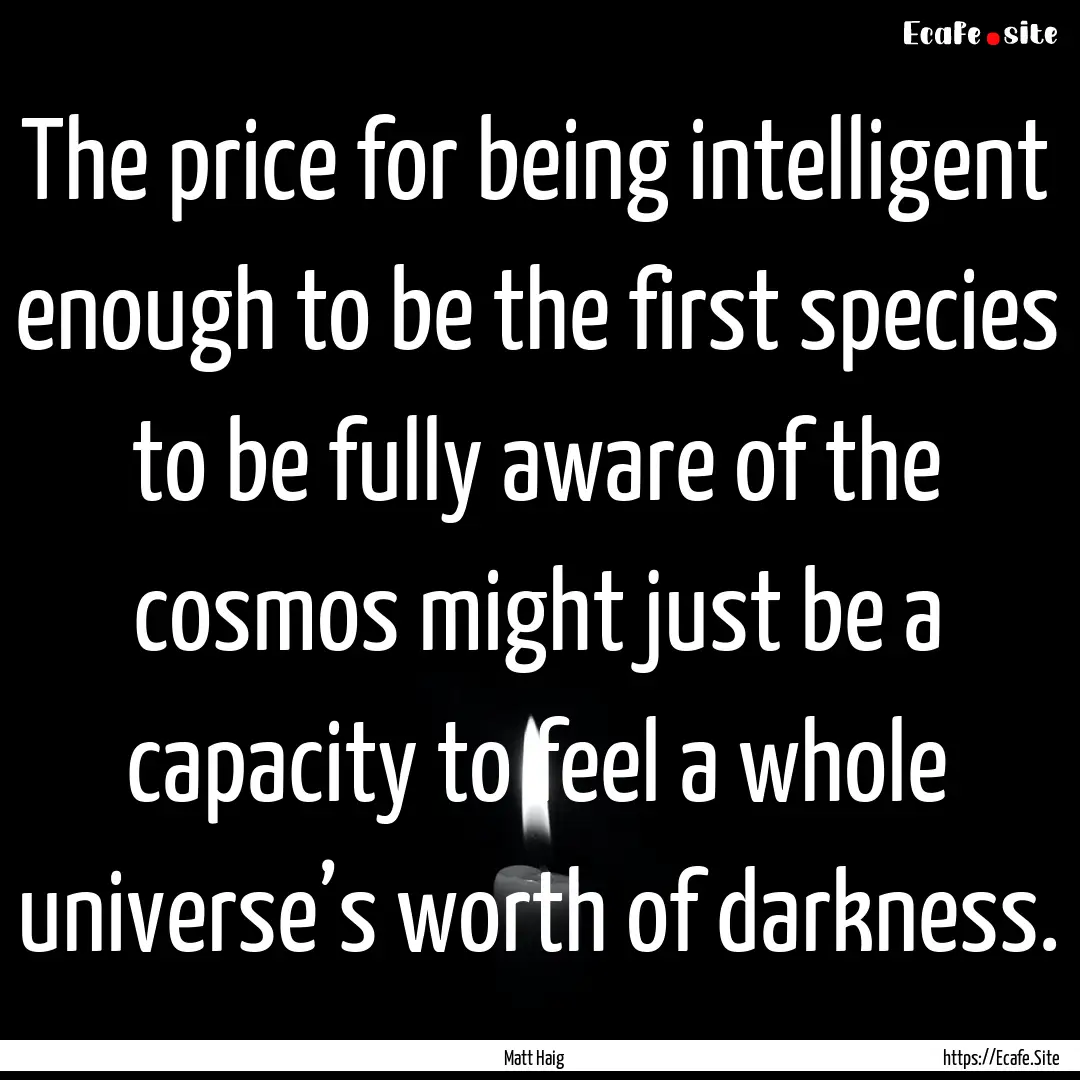 The price for being intelligent enough to.... : Quote by Matt Haig