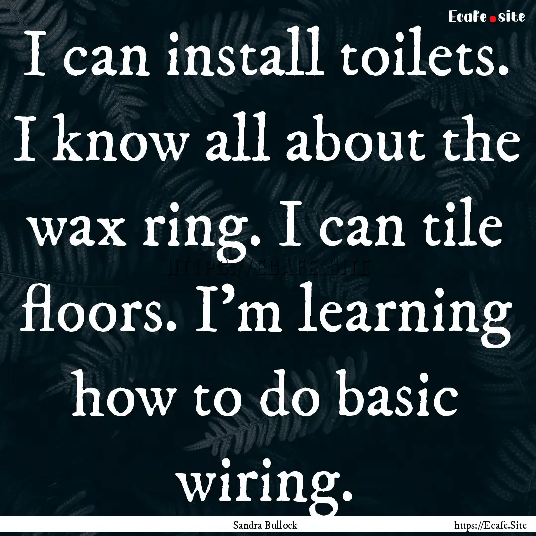 I can install toilets. I know all about the.... : Quote by Sandra Bullock