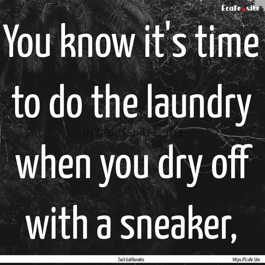 You know it's time to do the laundry when.... : Quote by Zach Galifianakis