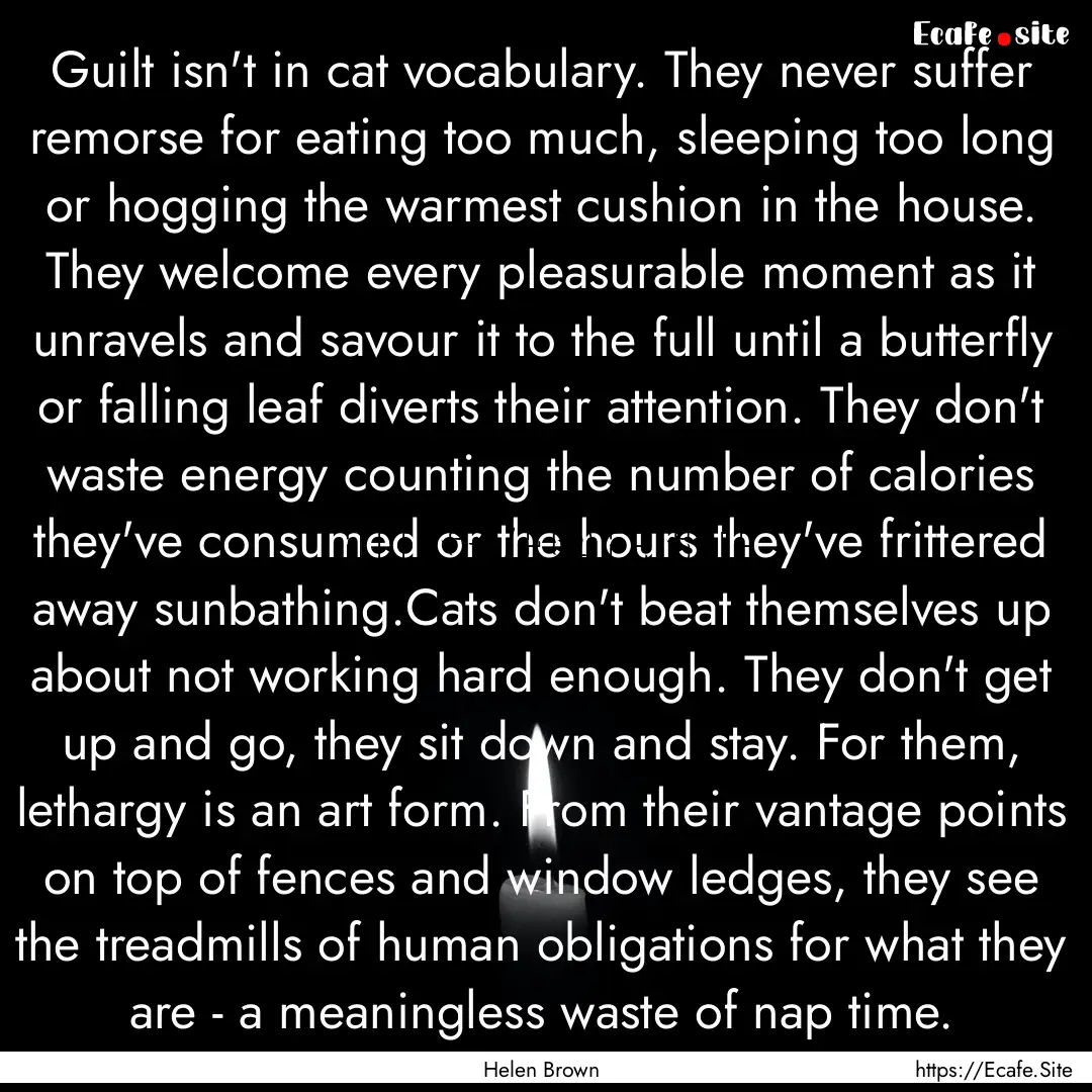 Guilt isn't in cat vocabulary. They never.... : Quote by Helen Brown