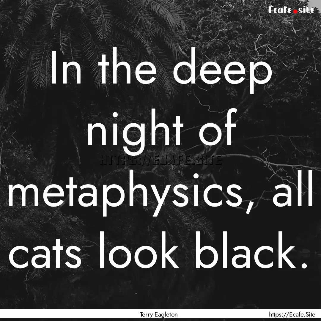 In the deep night of metaphysics, all cats.... : Quote by Terry Eagleton