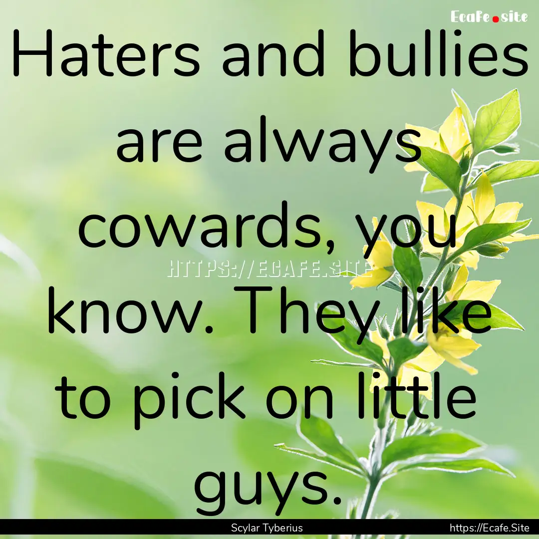 Haters and bullies are always cowards, you.... : Quote by Scylar Tyberius