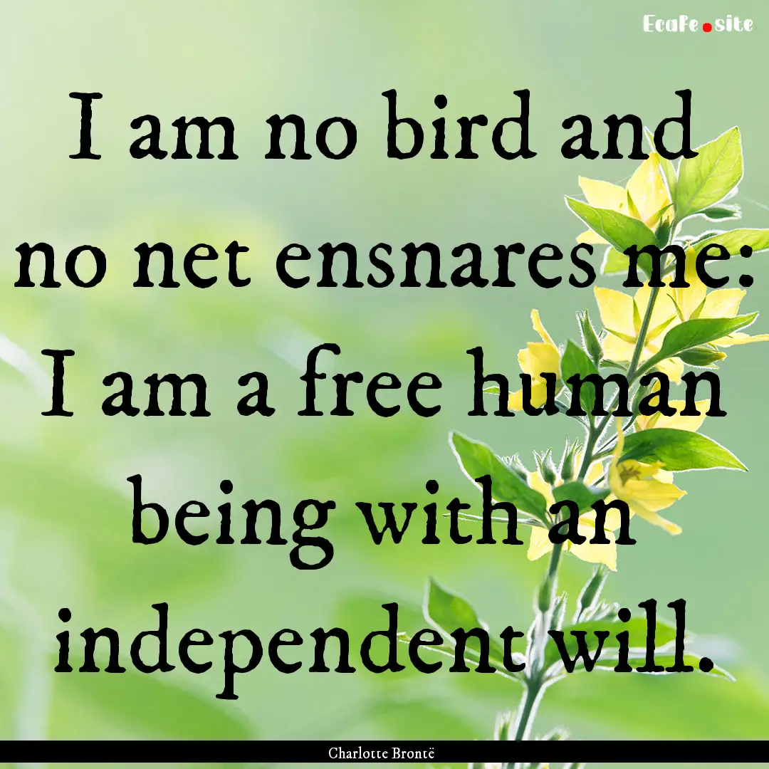 I am no bird and no net ensnares me: I am.... : Quote by Charlotte Brontë