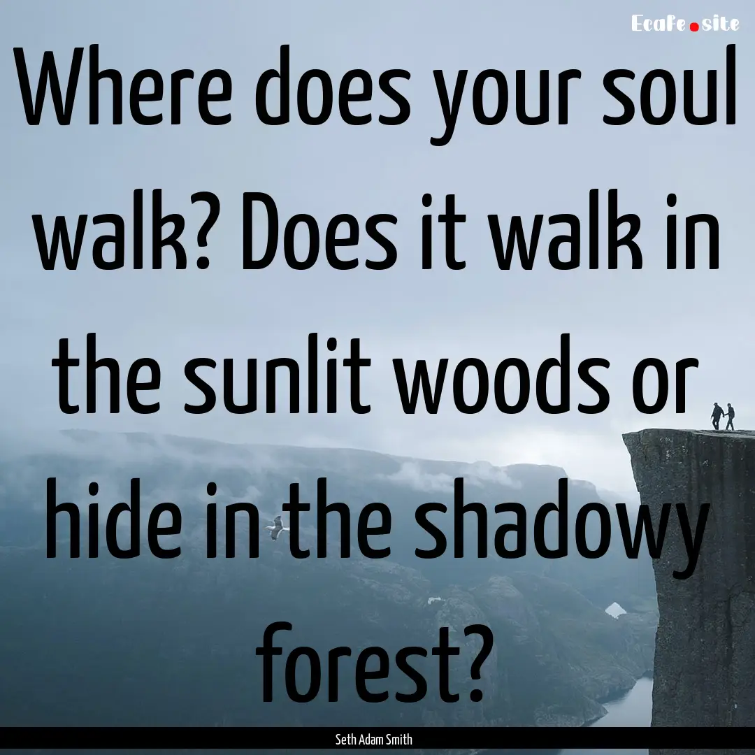 Where does your soul walk? Does it walk in.... : Quote by Seth Adam Smith