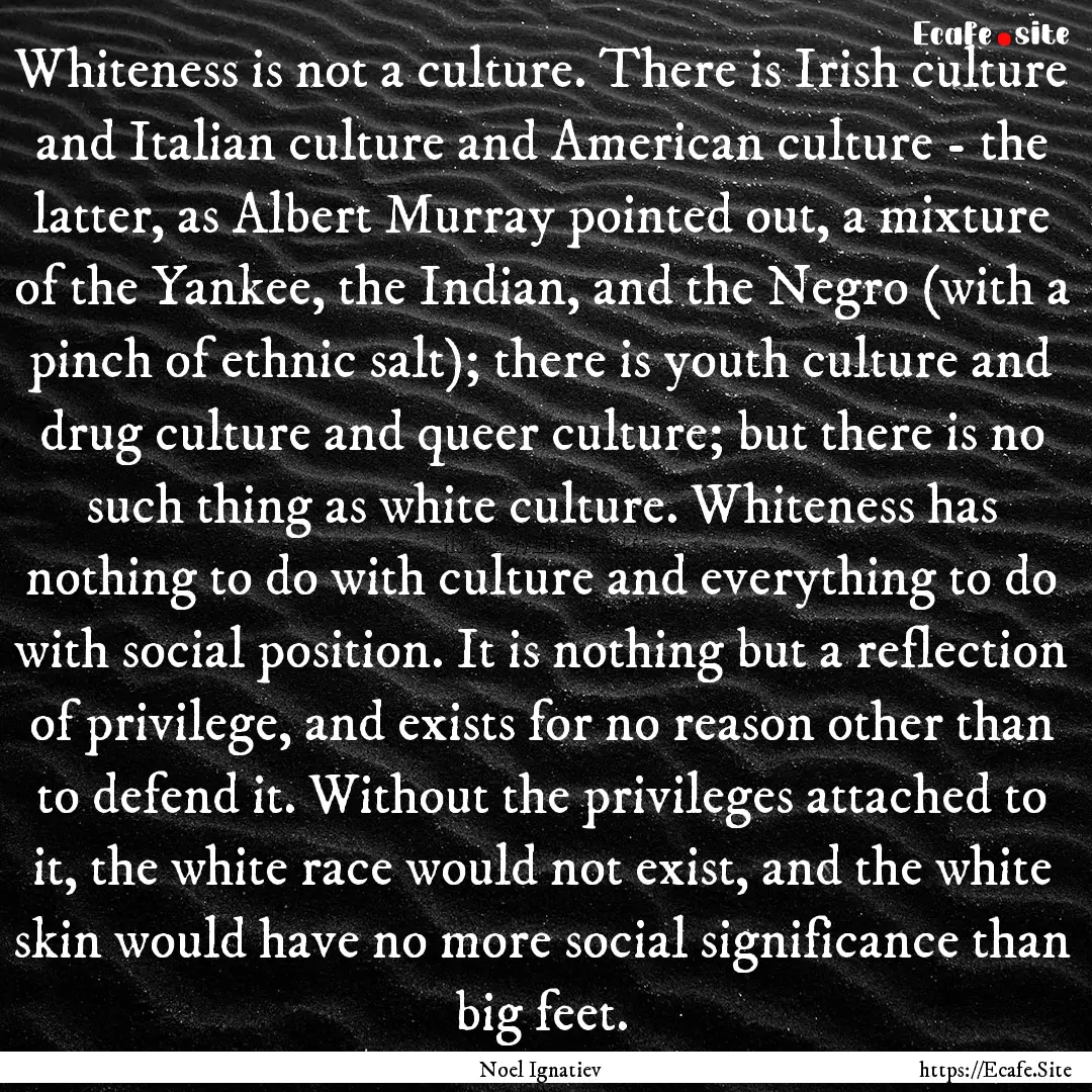 Whiteness is not a culture. There is Irish.... : Quote by Noel Ignatiev