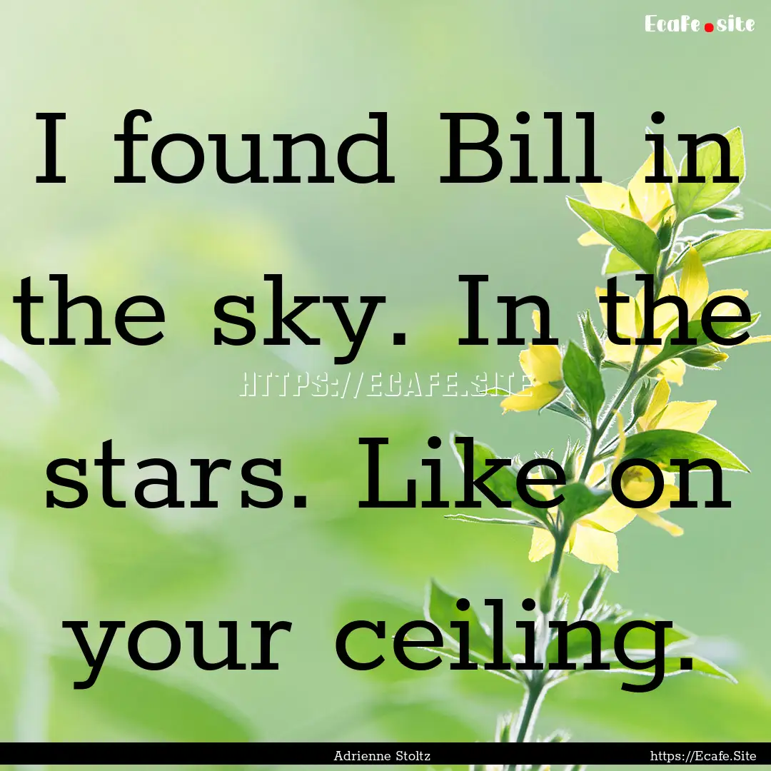 I found Bill in the sky. In the stars. Like.... : Quote by Adrienne Stoltz