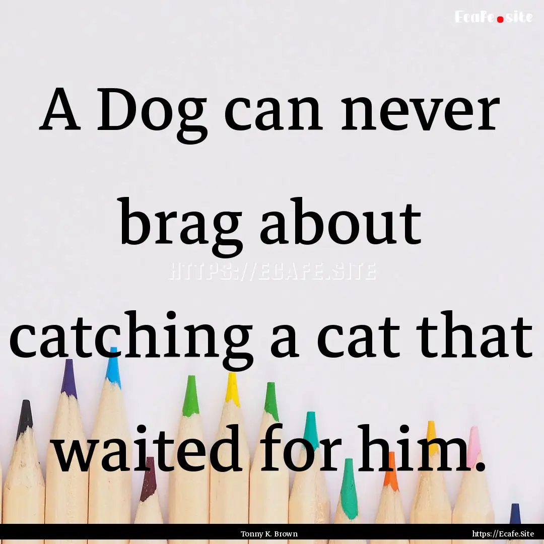 A Dog can never brag about catching a cat.... : Quote by Tonny K. Brown