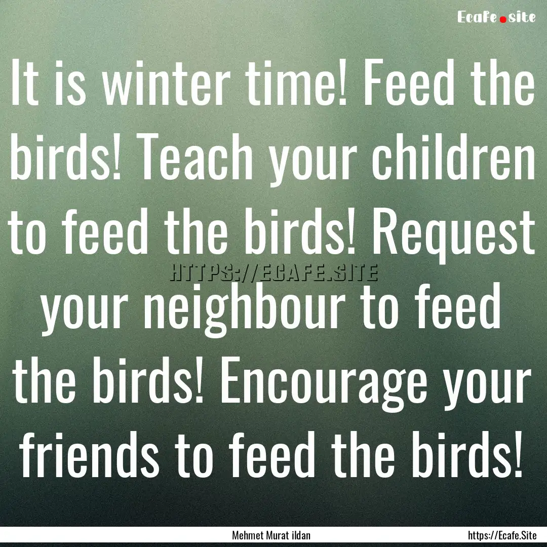 It is winter time! Feed the birds! Teach.... : Quote by Mehmet Murat ildan