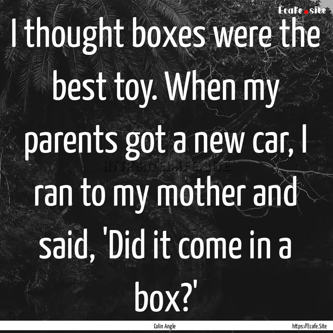 I thought boxes were the best toy. When my.... : Quote by Colin Angle