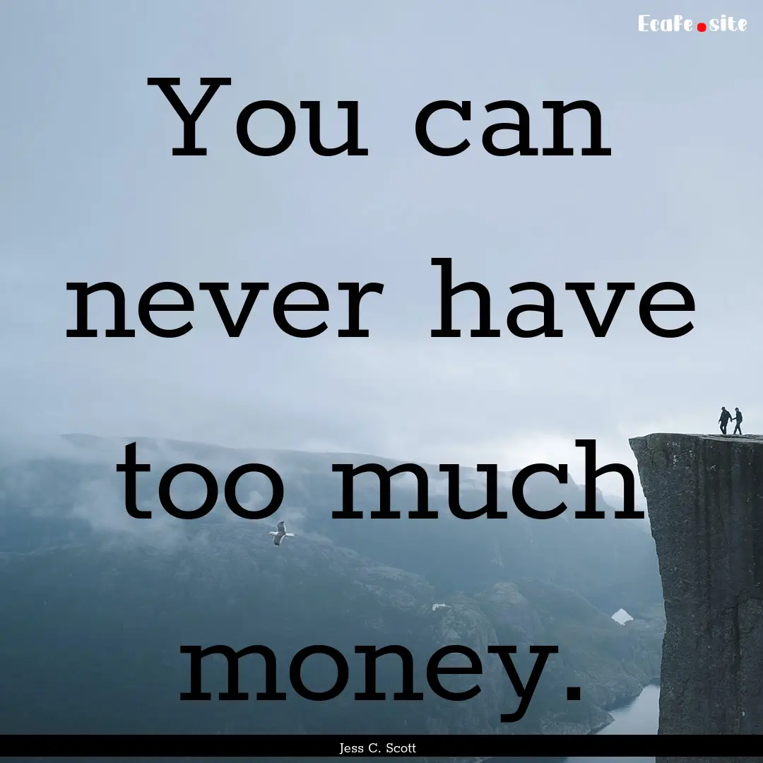 You can never have too much money. : Quote by Jess C. Scott