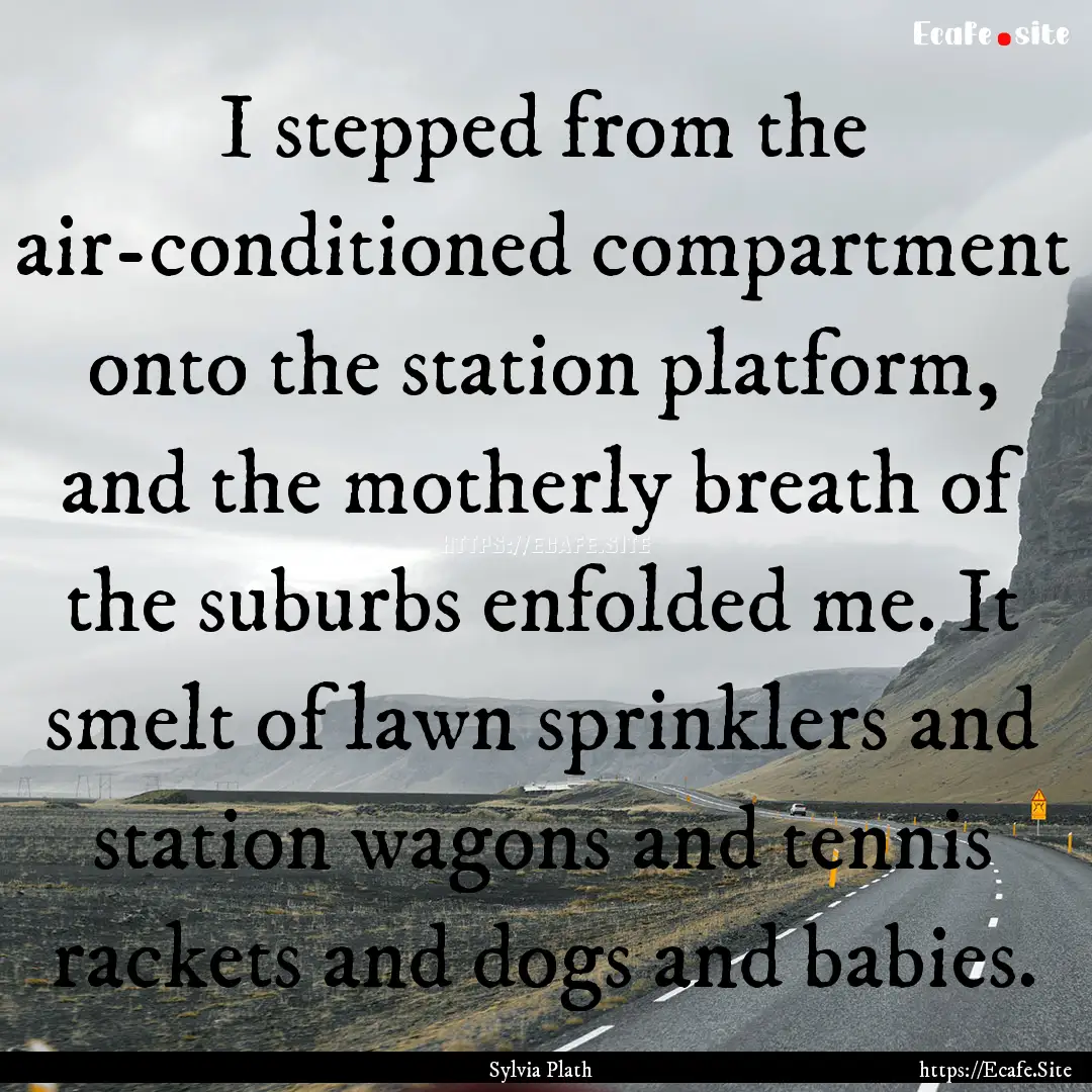 I stepped from the air-conditioned compartment.... : Quote by Sylvia Plath