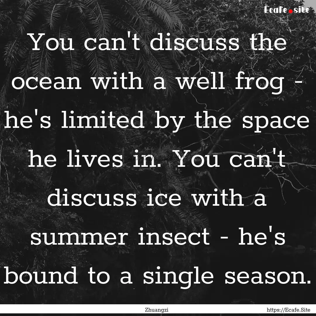 You can't discuss the ocean with a well frog.... : Quote by Zhuangzi