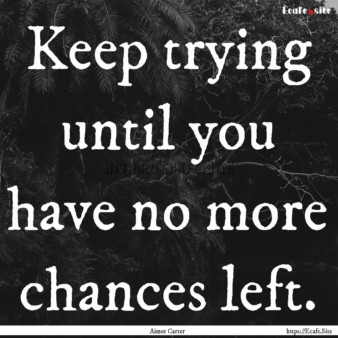 Keep trying until you have no more chances.... : Quote by Aimee Carter