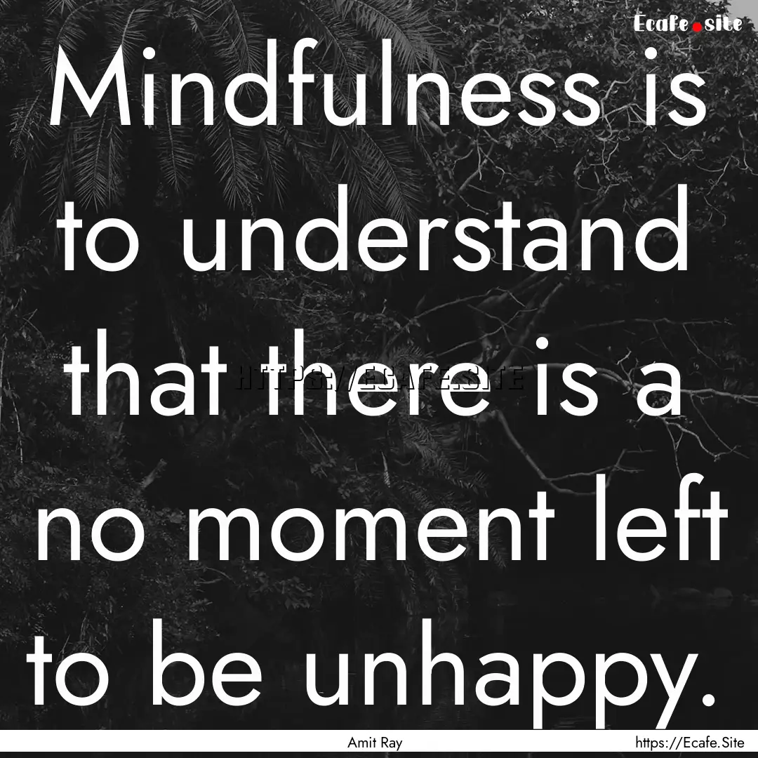 Mindfulness is to understand that there is.... : Quote by Amit Ray