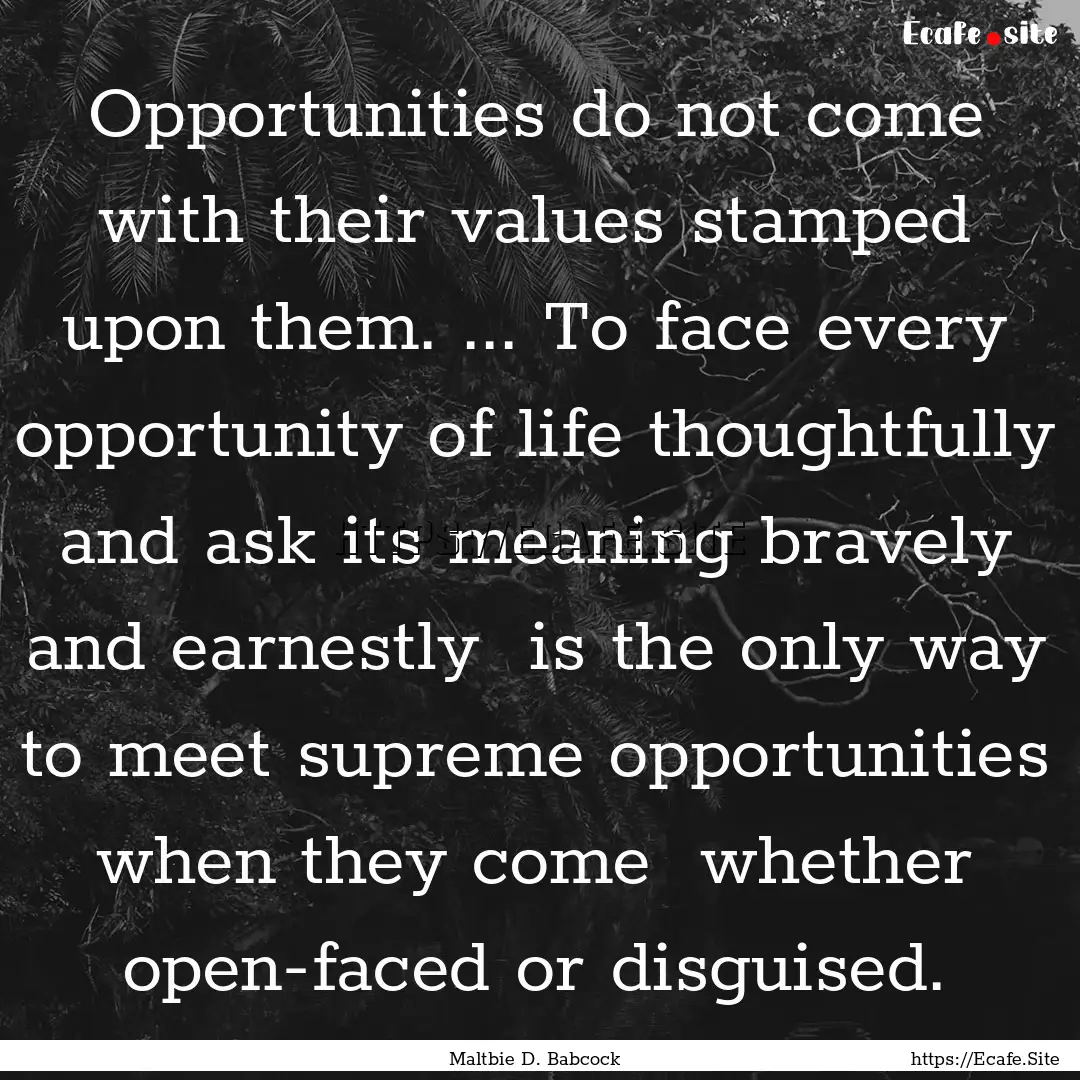 Opportunities do not come with their values.... : Quote by Maltbie D. Babcock